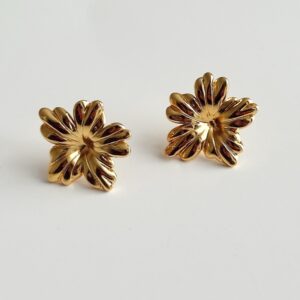 Aretes BaleniX59 || 4